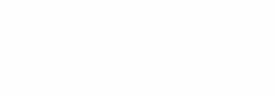Pic Dog